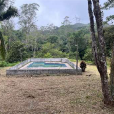 LEILAO_CHACARA_EMBURA